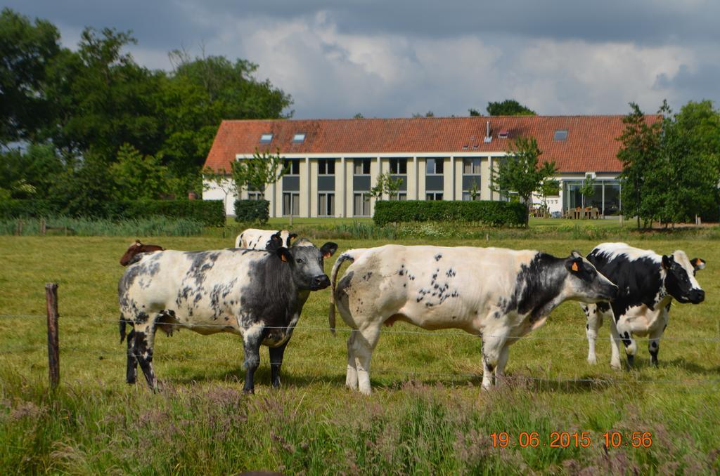 Cleythil Hotel Maldegem Esterno foto